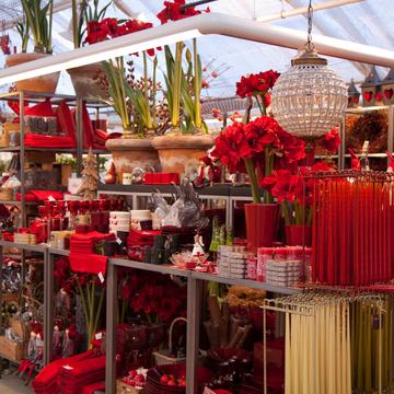 Drivstua&nbsp;blomster&nbsp;jul-11