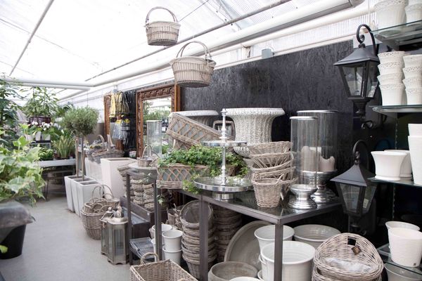 Drivstua blomster april-8