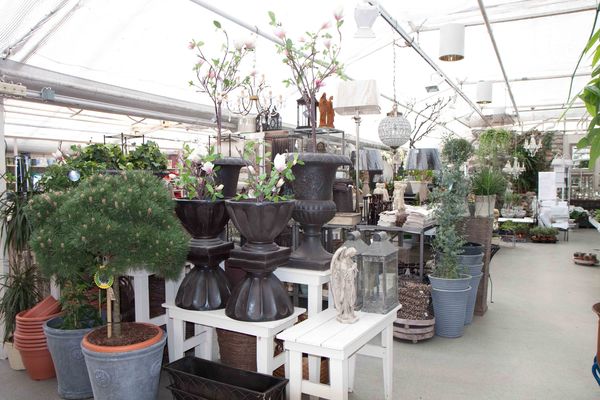 Drivstua blomster april-9