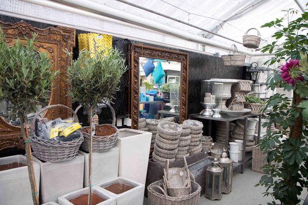 Drivstua blomster april-12