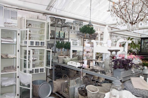 Drivstua blomster april-19