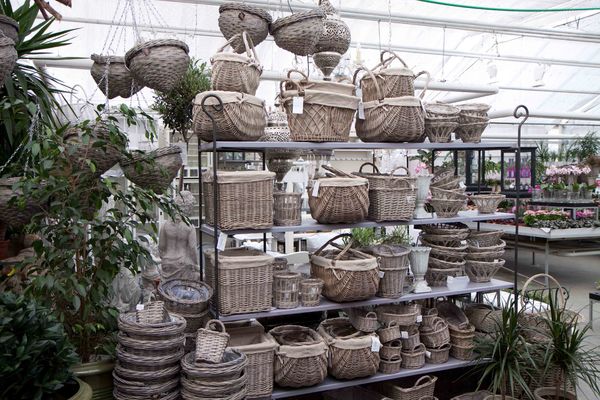 Drivstua blomster april-26