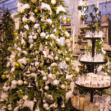 Drivstua&nbsp;gartneri-6918