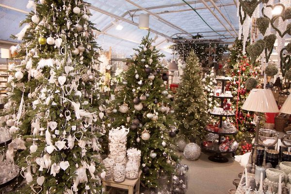 Drivstua gartneri-6923