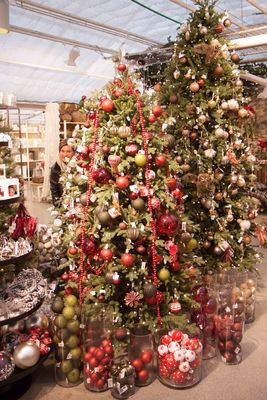 Drivstua gartneri-6926