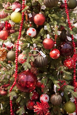 Drivstua gartneri-6931