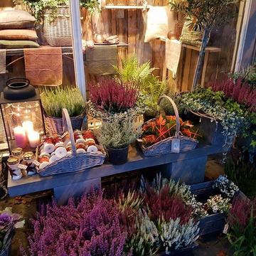 drivstua&nbsp;høst&nbsp;12