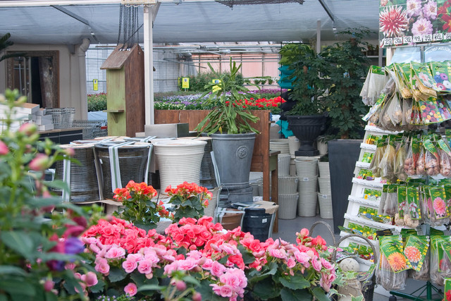 Fra gamlebutikken mot gartneri utsalget
